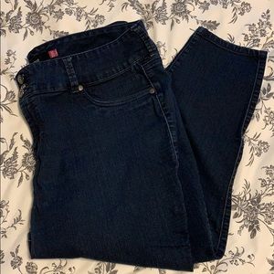 Torrid Skinny Jeans 22 Extra Short